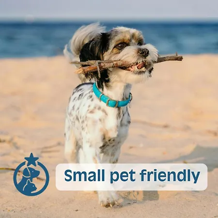 Mare Lignano Sabbiadoro